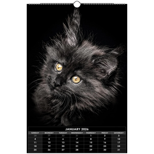 1318a4a8-25ba-41eb-aac4-eac780227795