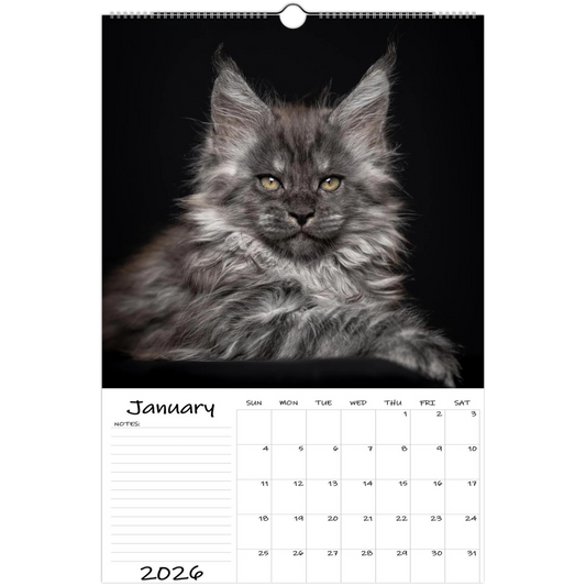 1d998e48-197a-4360-9cac-6101beee35e1