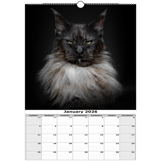 5e864d43-0024-493c-8d55-32abdba64326