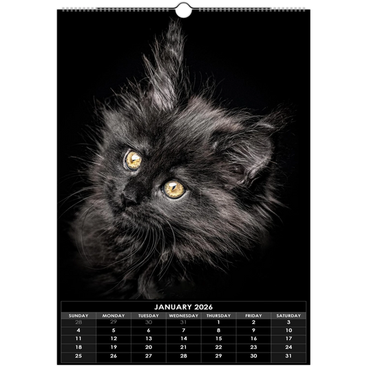 7196357a-4d1d-4483-88cd-12a42ac111ff