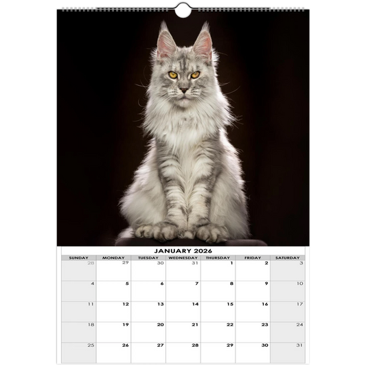 f4704683-7b07-4eae-9091-055ad1f839a1