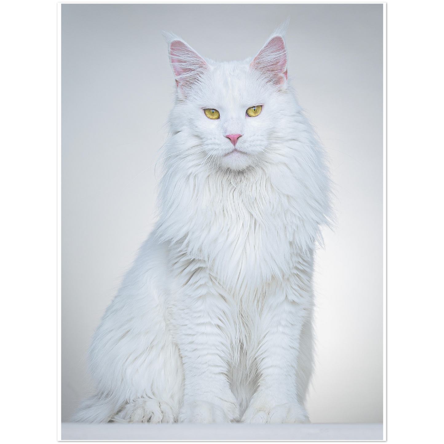 Premium Matte Paper Poster - Brigitte