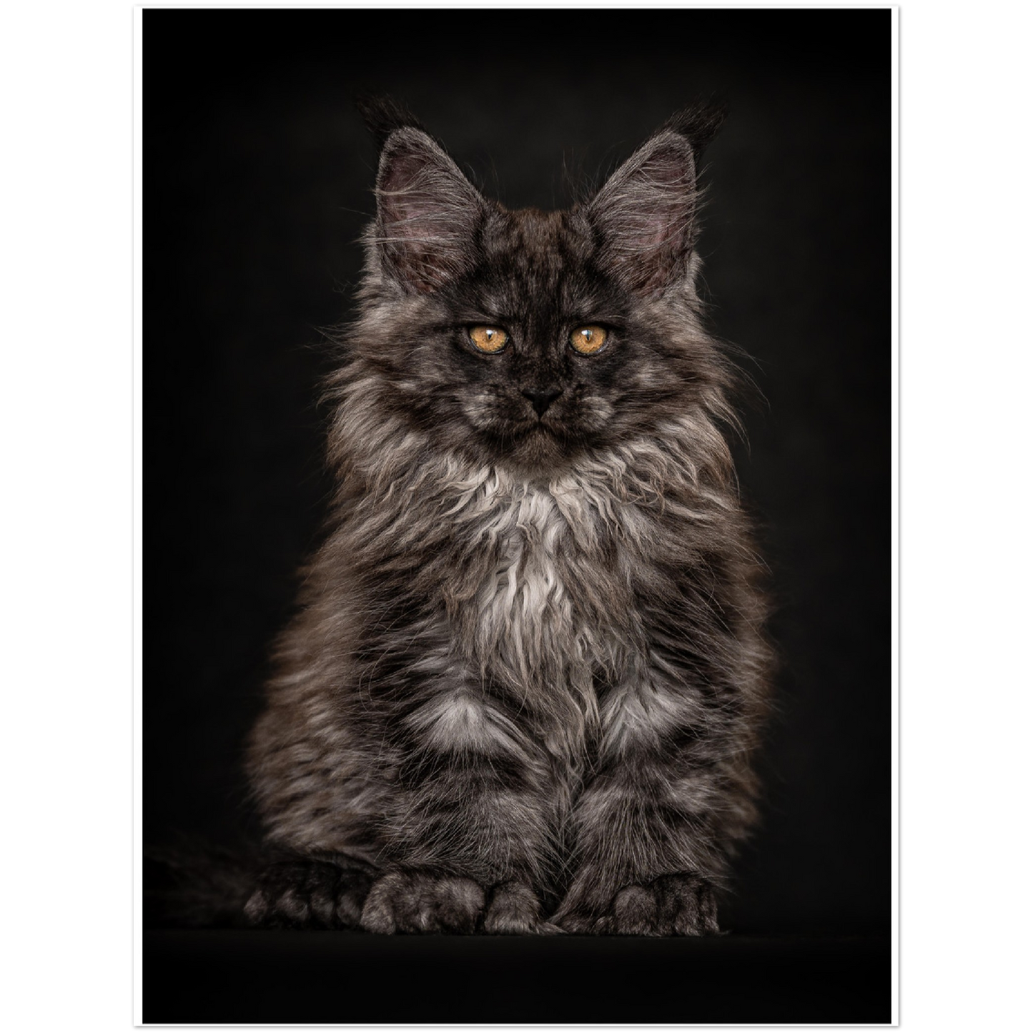 Premium Matte Paper Poster - Little Bear