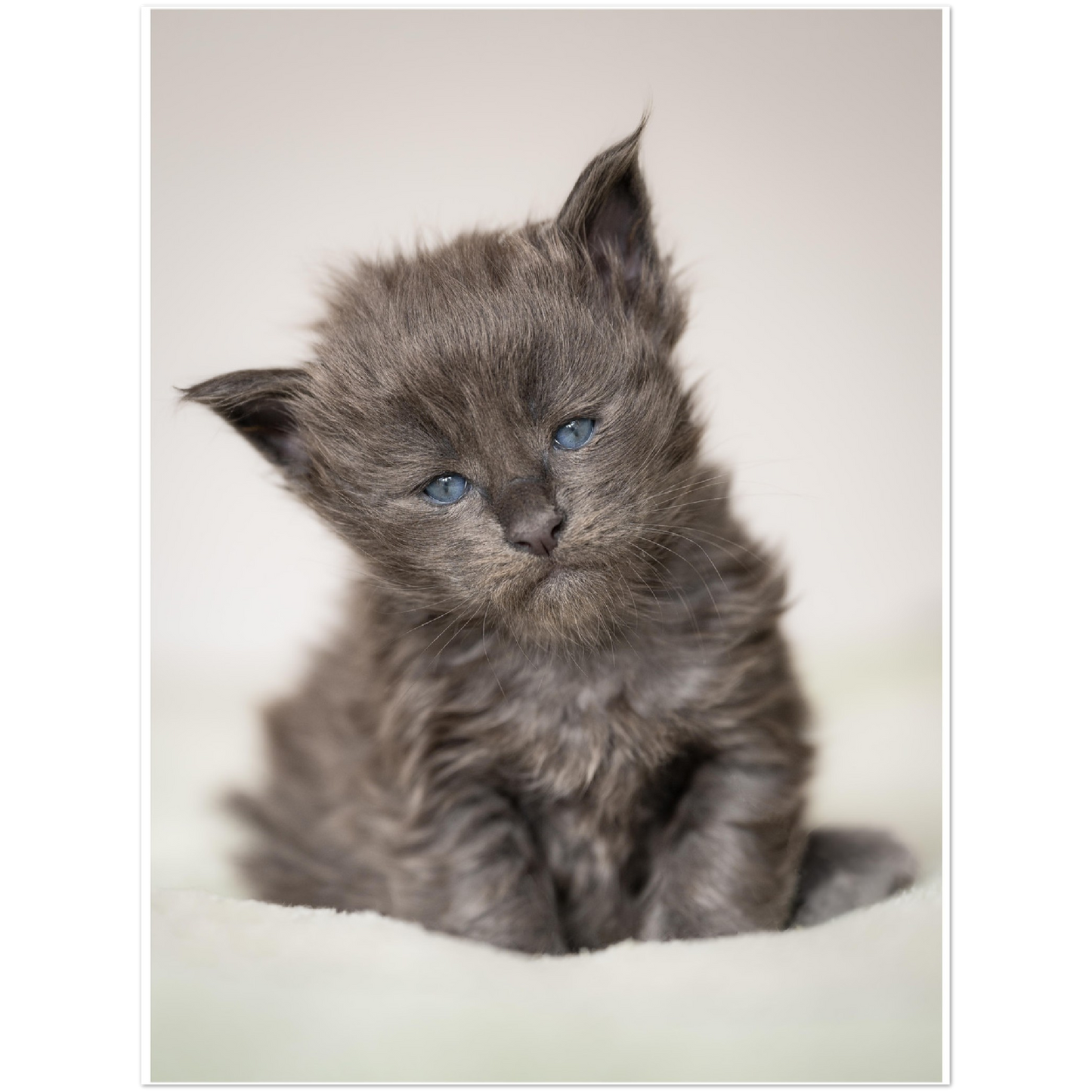 Premium Matte Paper Poster - Little blue