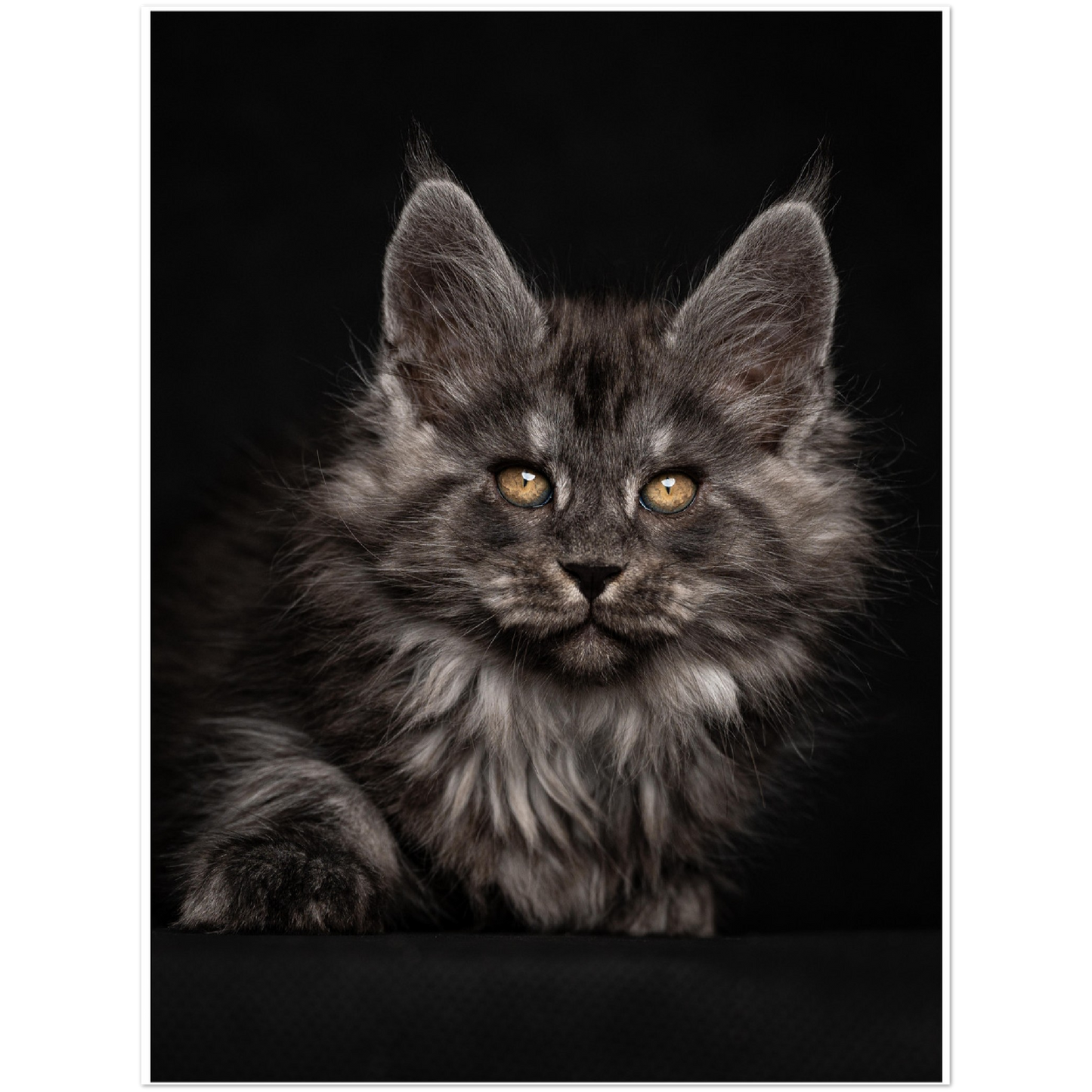 Premium Matte Paper Poster - Gulliver