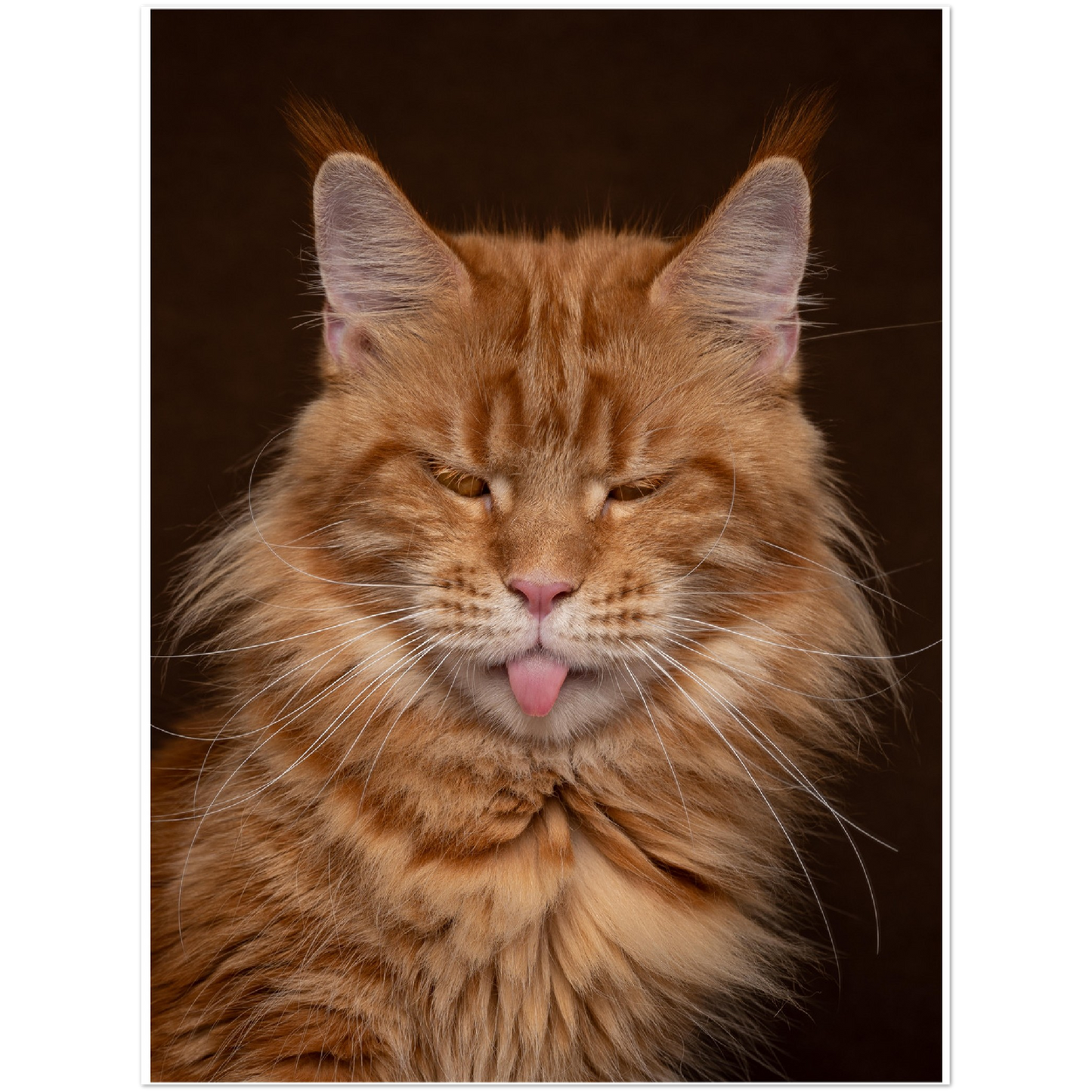 Premium Matte Paper Poster - Blep