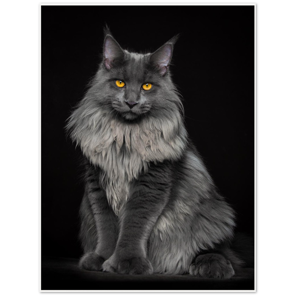 Archival Matte Paper Poster - Niklaus