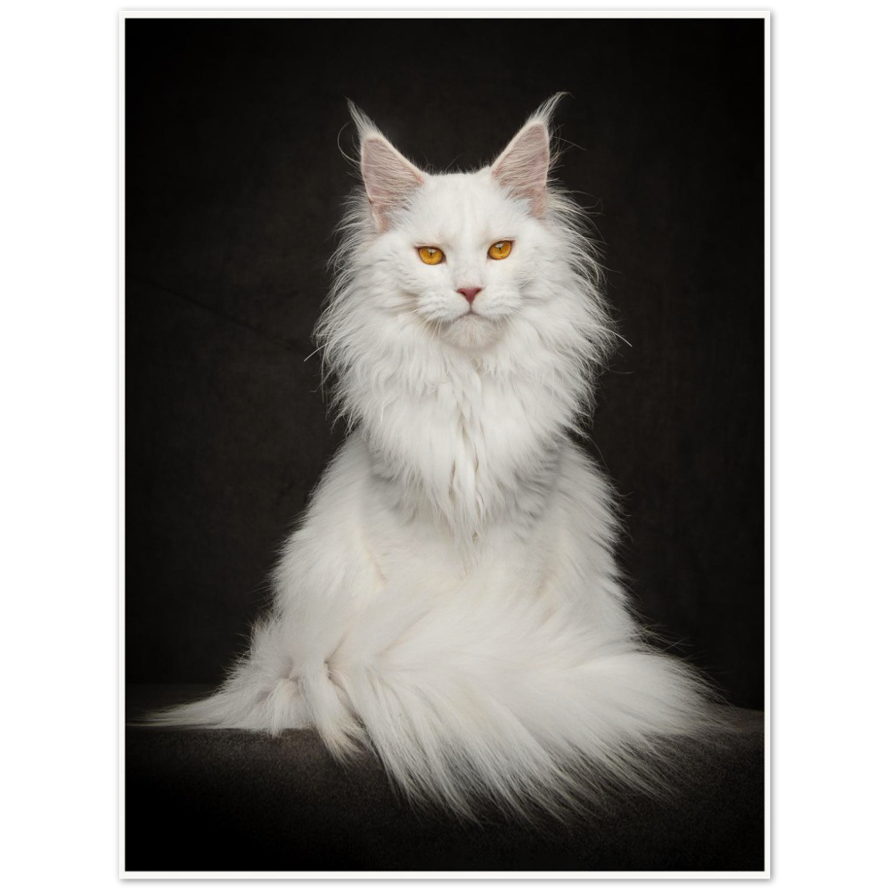 Archival Matte Paper Poster - Ismena