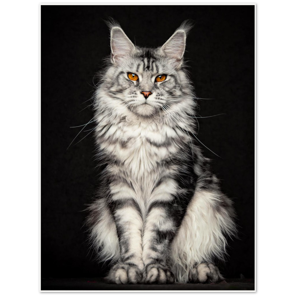 Archival Matte Paper Poster - Questa