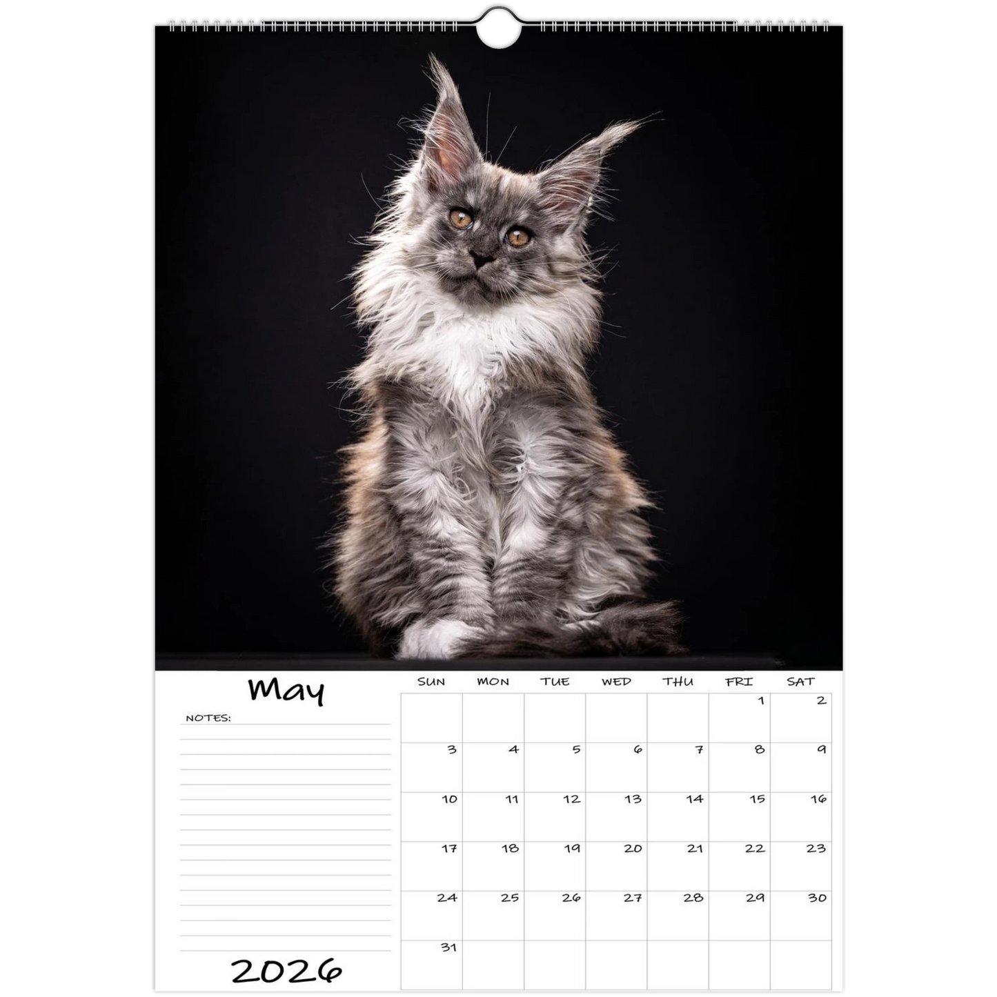 054babfb-f828-4d1e-bcc0-0a743ae59788