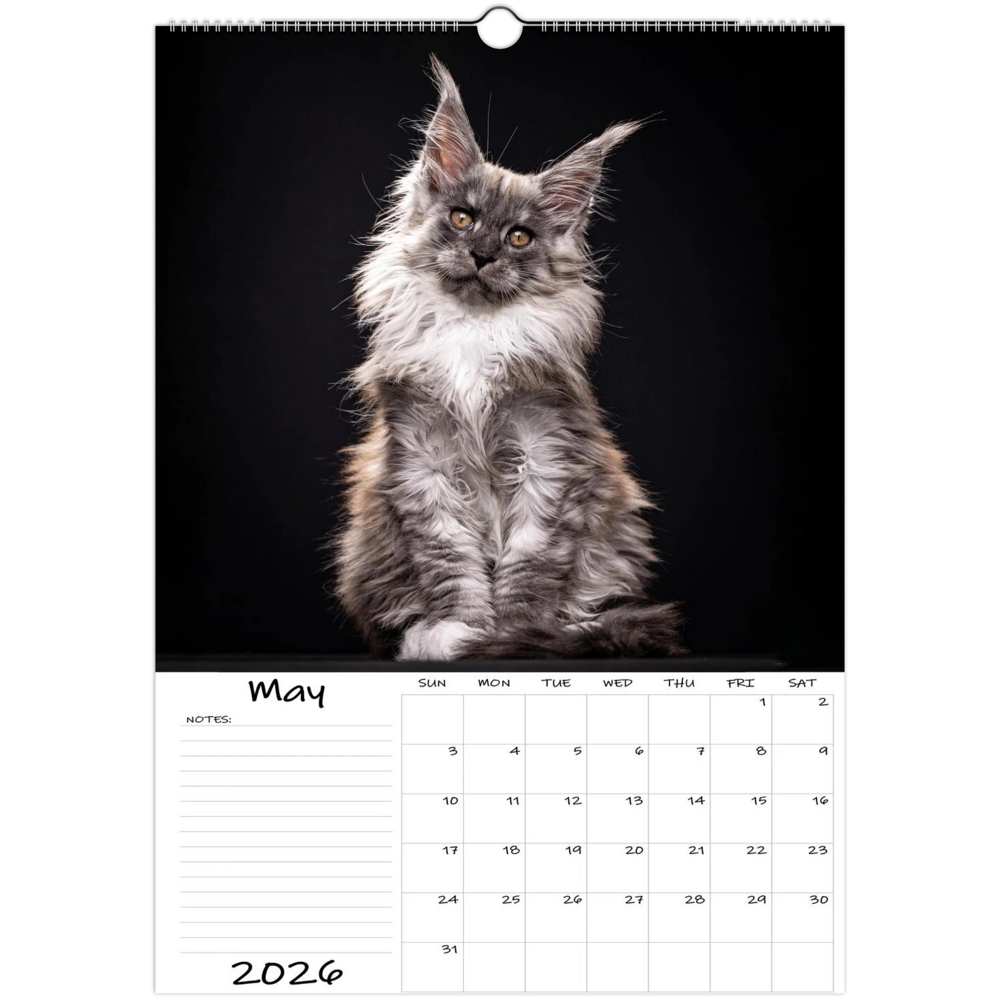 054babfb-f828-4d1e-bcc0-0a743ae59788