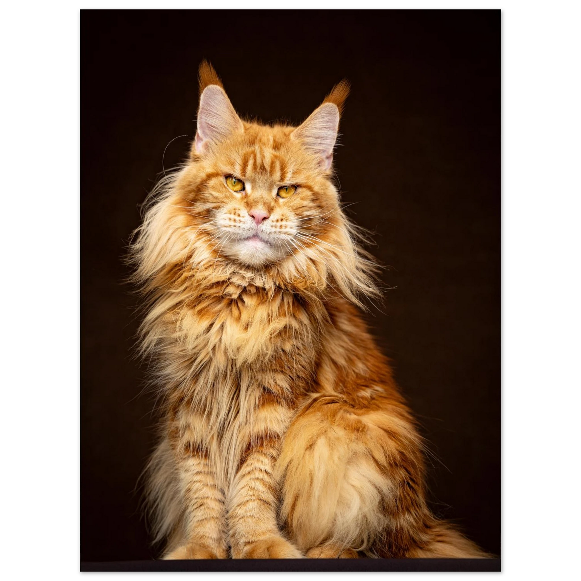 942b04e3-6a33-4cf5-a181-8c24731a49a7