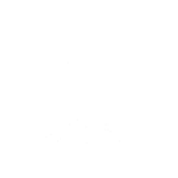 Felis Gallery by Robert Sijka