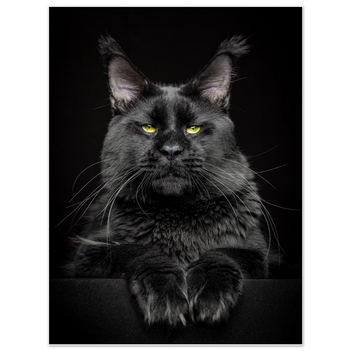 a3594772-2ed3-4930-8a68-4ec20e59e79b