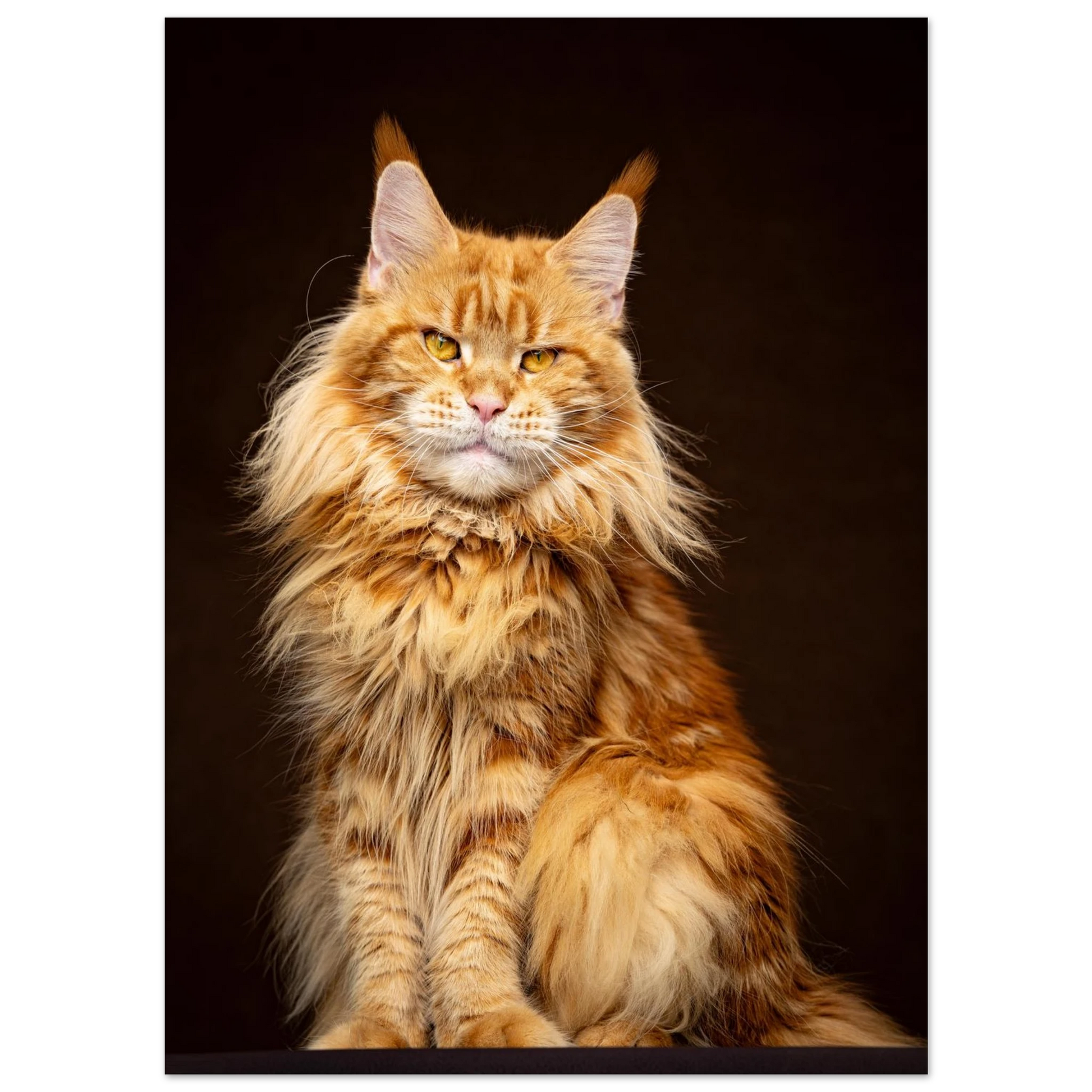 a663096c-995d-4078-8002-276f8f65b400