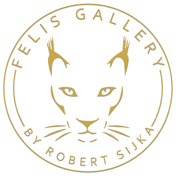 Felis Gallery by Robert Sijka