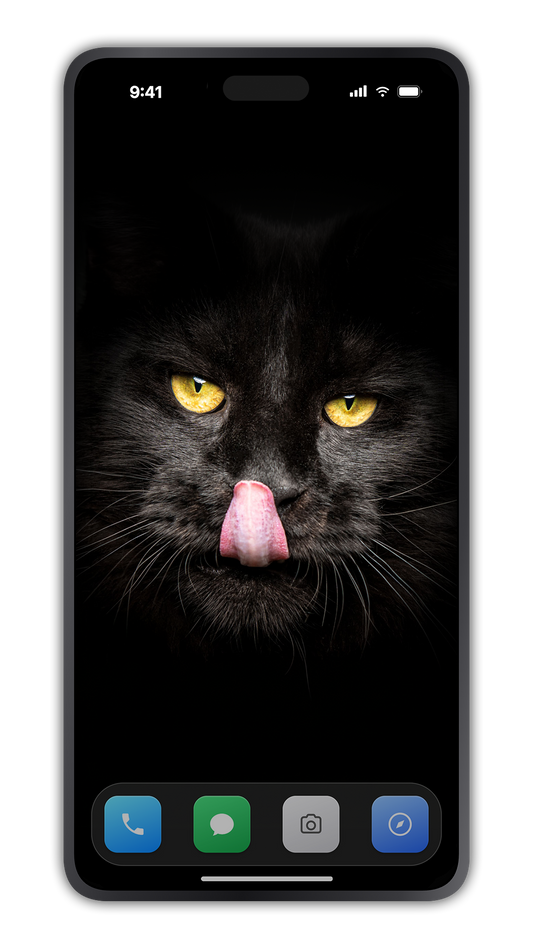 Shadow, a fine art Maine Coon cat photograph by Robert Sijka, as a phone wallpaper