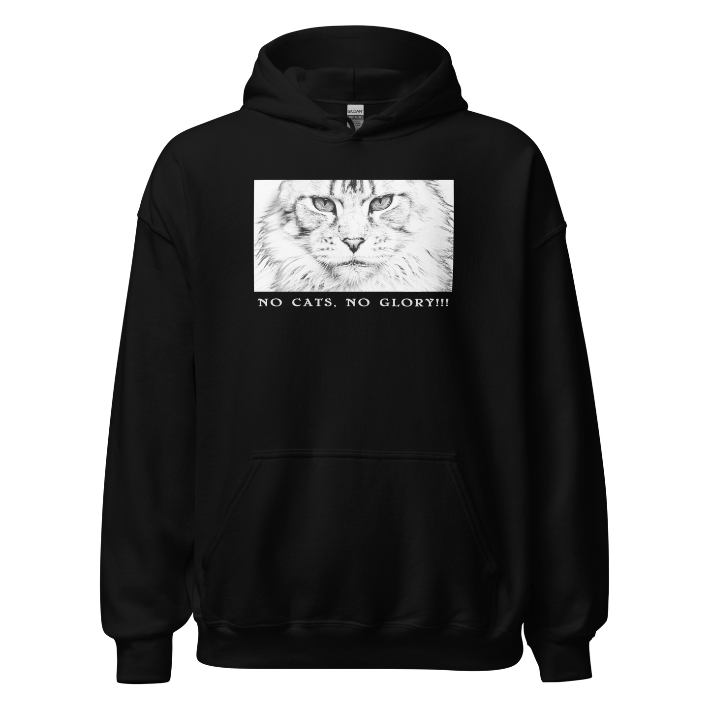 Unisex Hoodie - "No Cats No Glory" Verona front print