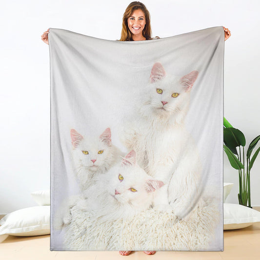 Premium Blanket - Snow Queens