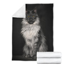 Load image into Gallery viewer, Premium Blanket - ViVo