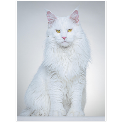 Premium Matte Paper Poster - Brigitte