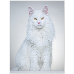 Premium Matte Paper Poster - Brigitte