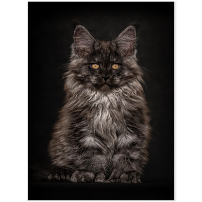 Premium Matte Paper Poster - Little Bear
