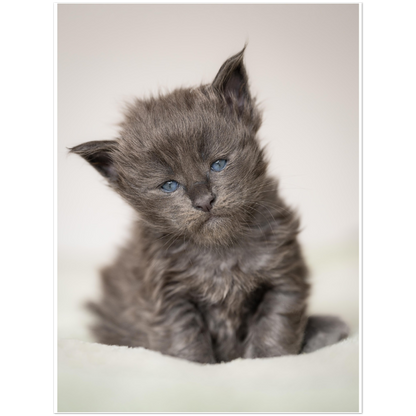 Premium Matte Paper Poster - Little blue