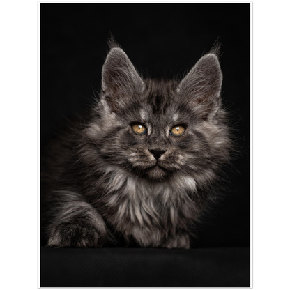Premium Matte Paper Poster - Gulliver