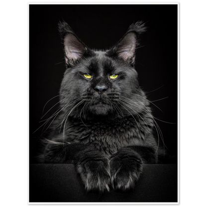 Archival Matte Paper Poster - LaCosta