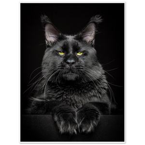 Archival Matte Paper Poster - LaCosta