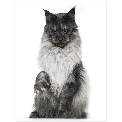 Premium Matte Paper Poster - Kiss my paw