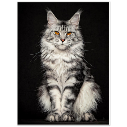 Archival Matte Paper Poster - Questa