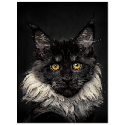 Archival Matte Paper Poster - Roxy