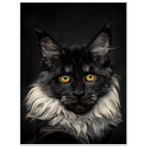 Archival Matte Paper Poster - Roxy